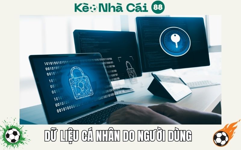 Du lieu ca nhan do nguoi dung cung cap